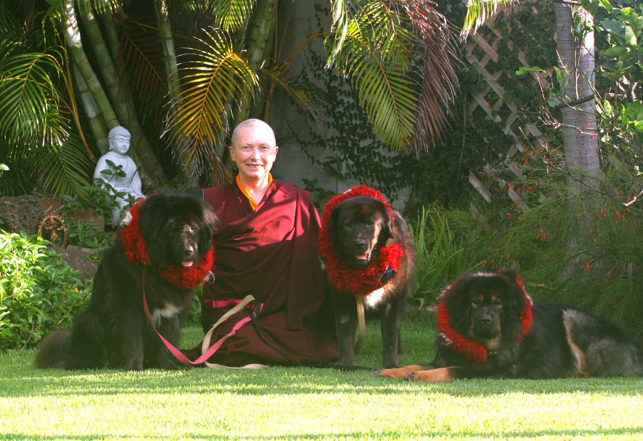 Lekshe 33 300 dpi.jpeg